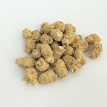 小枝元泡參 (每兩)